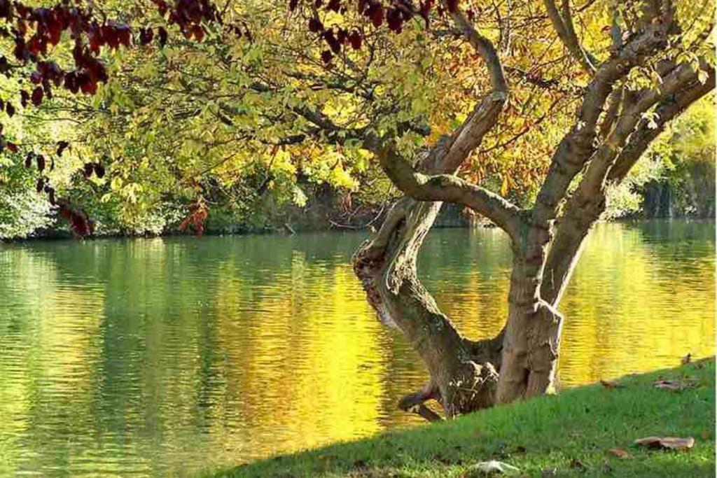 Апартаменты La Belle Etoile Нуази-ле-Гран Экстерьер фото